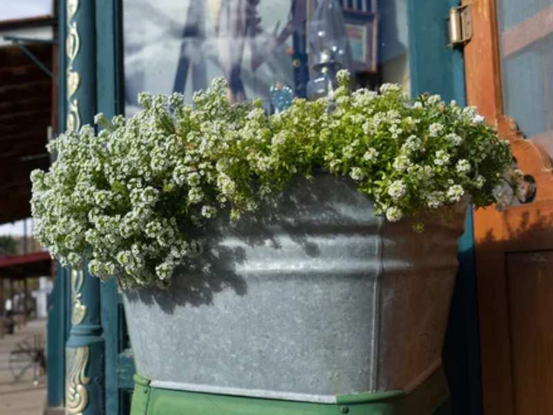 Metallblumentöpfe für Blumen